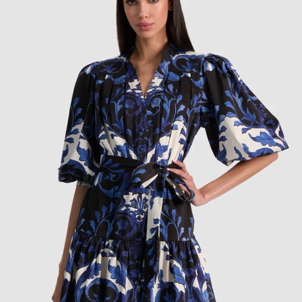 Alice + Olivia Navy and White Floral Mini Dress - Picture 4 of 16